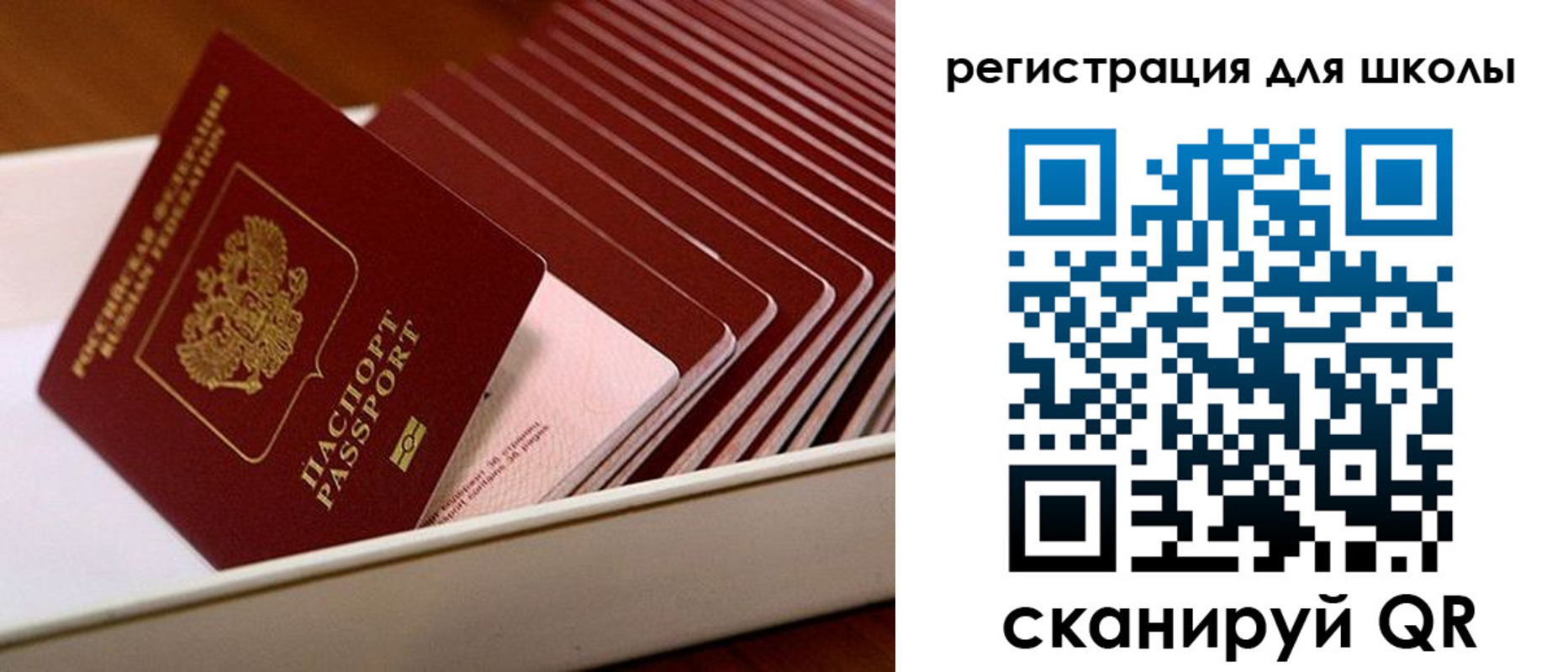 прописка гарантия в Пскове